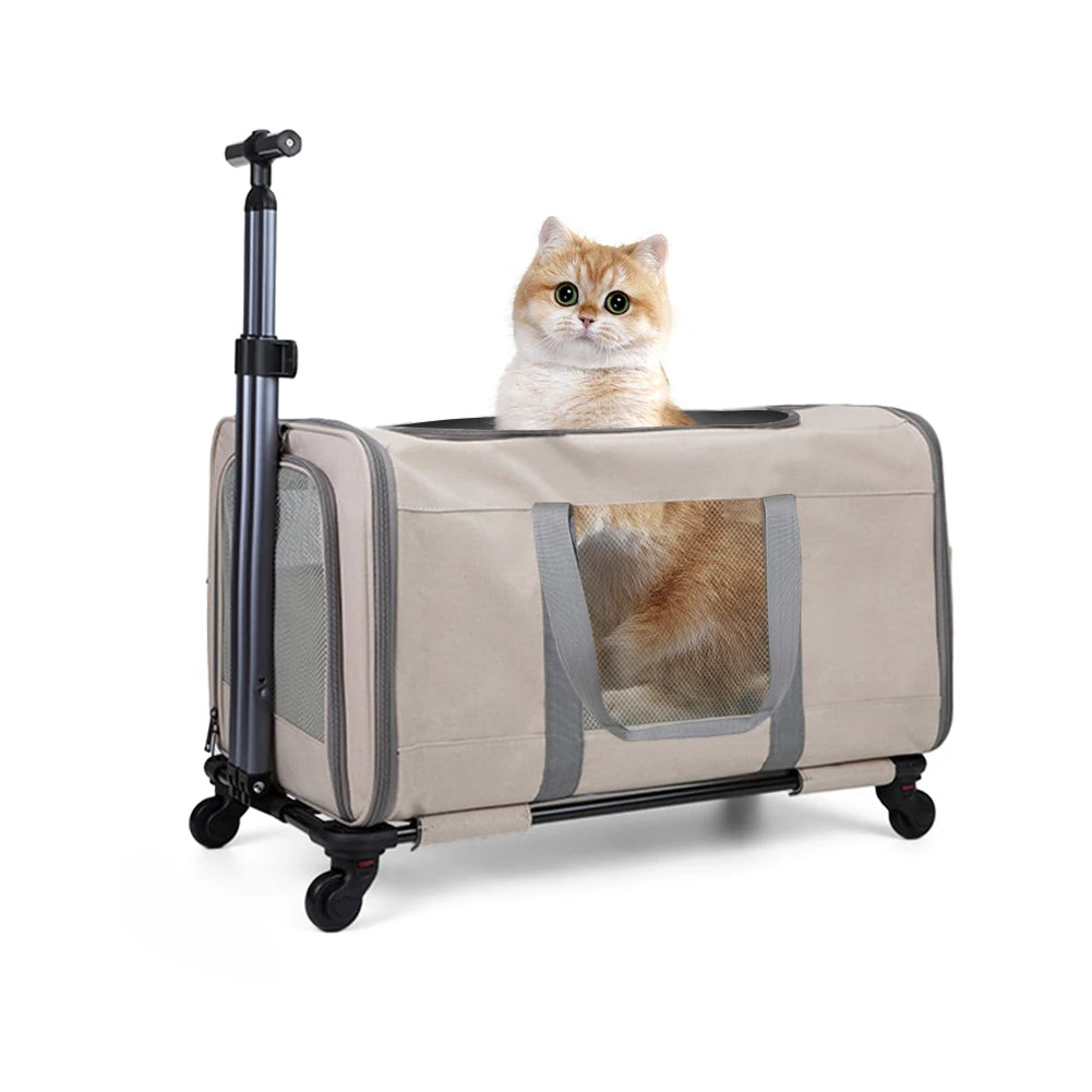 Cat Transport Stroller With Wheels For Two Cats Travel