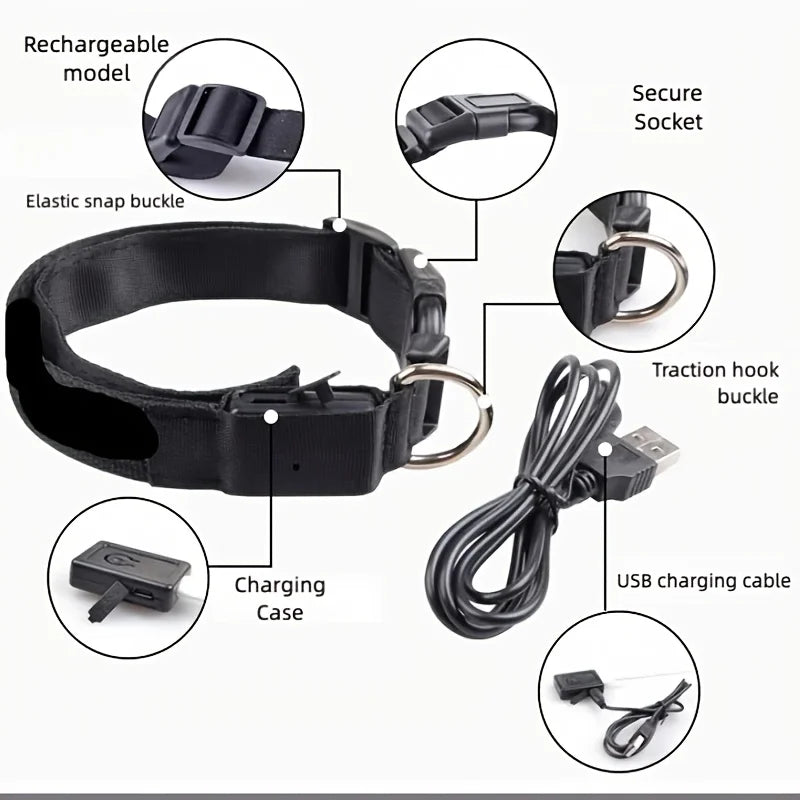 CN Guangdong USB Rechargeable Glow Dog Collar for Night Safety