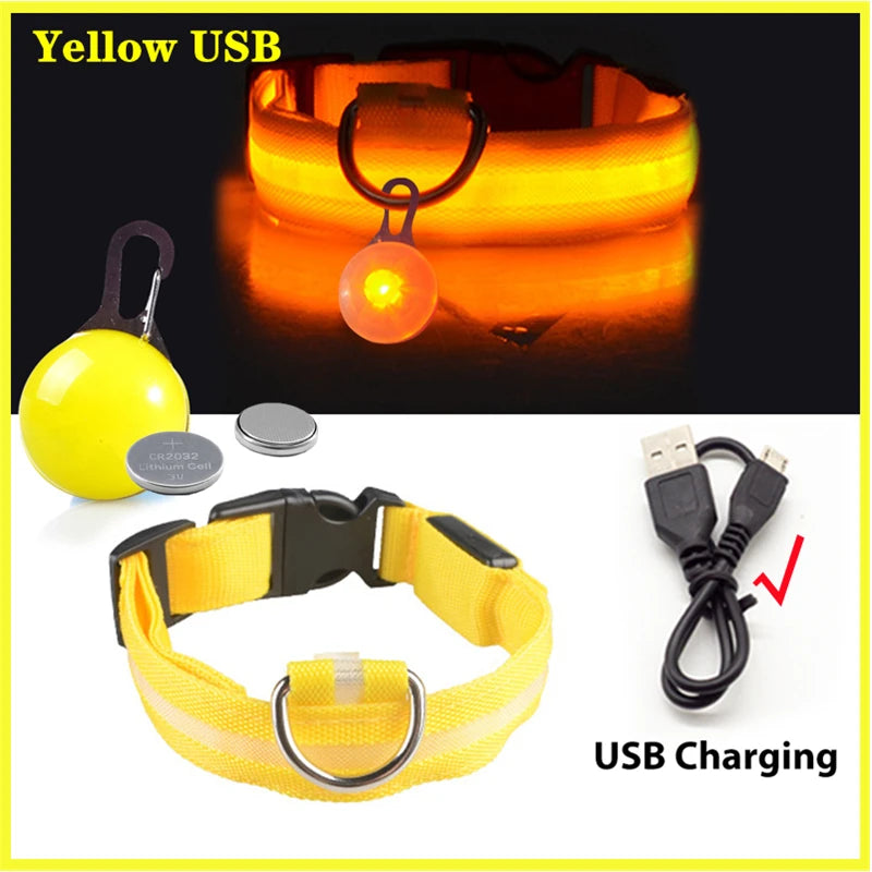 Usb Charging Glowing Dog Collar With Pendant Night Safety