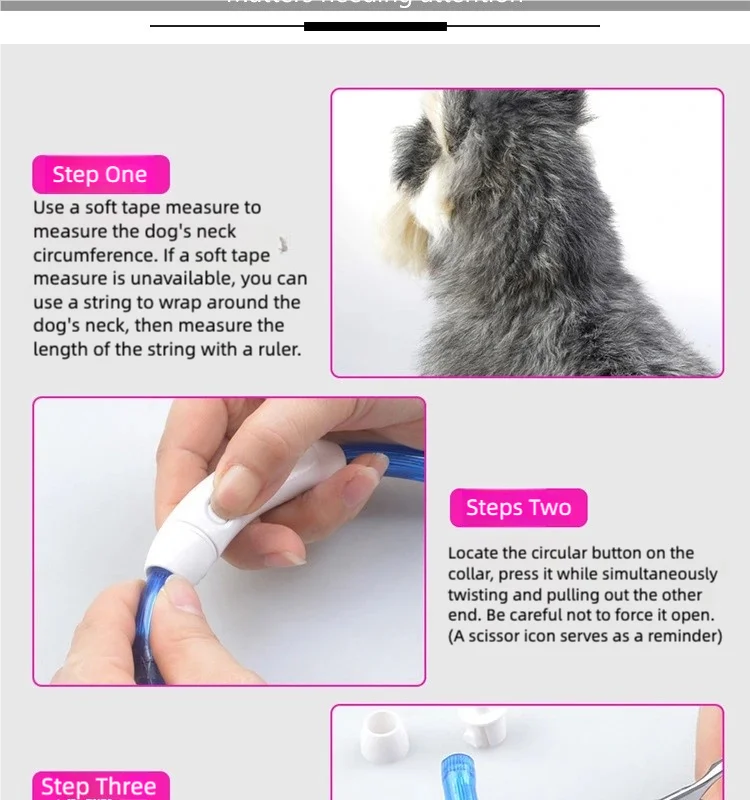 CN Guangdong LED Dog Collar USB Rechargeable 3-Mode Safety Light