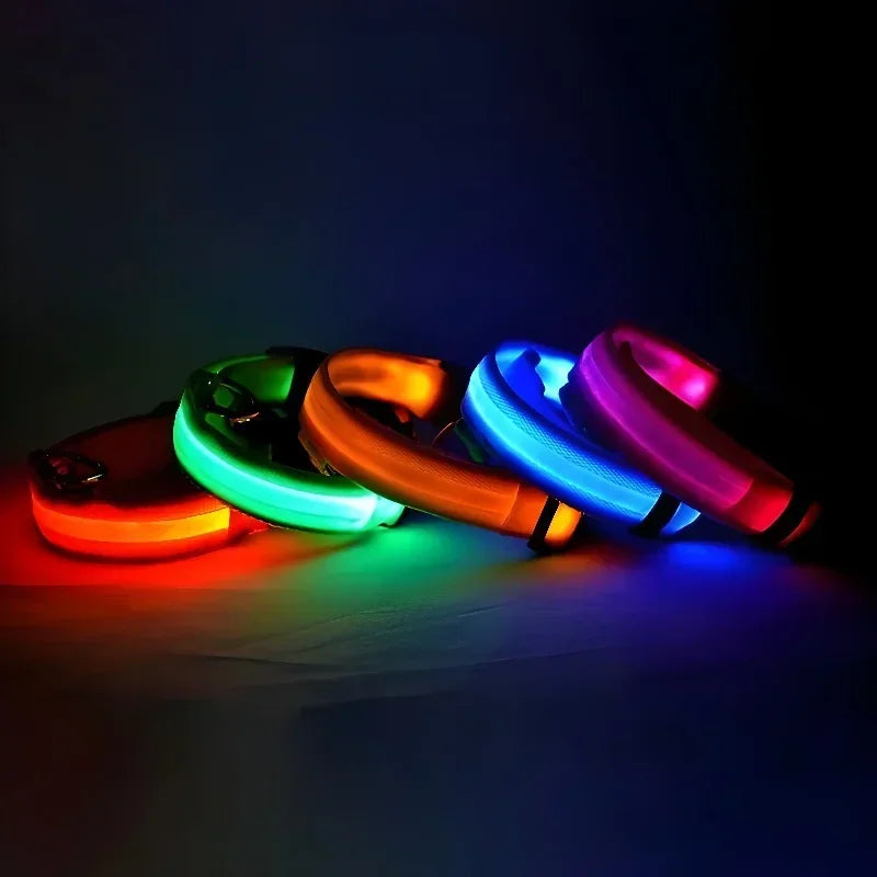 Guangdong Nylon LED Dog Collar With Night Safety Flashing Glow