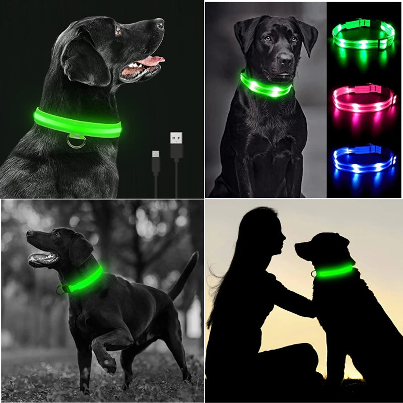 Usb Charging Glowing Dog Collar With Pendant Night Safety