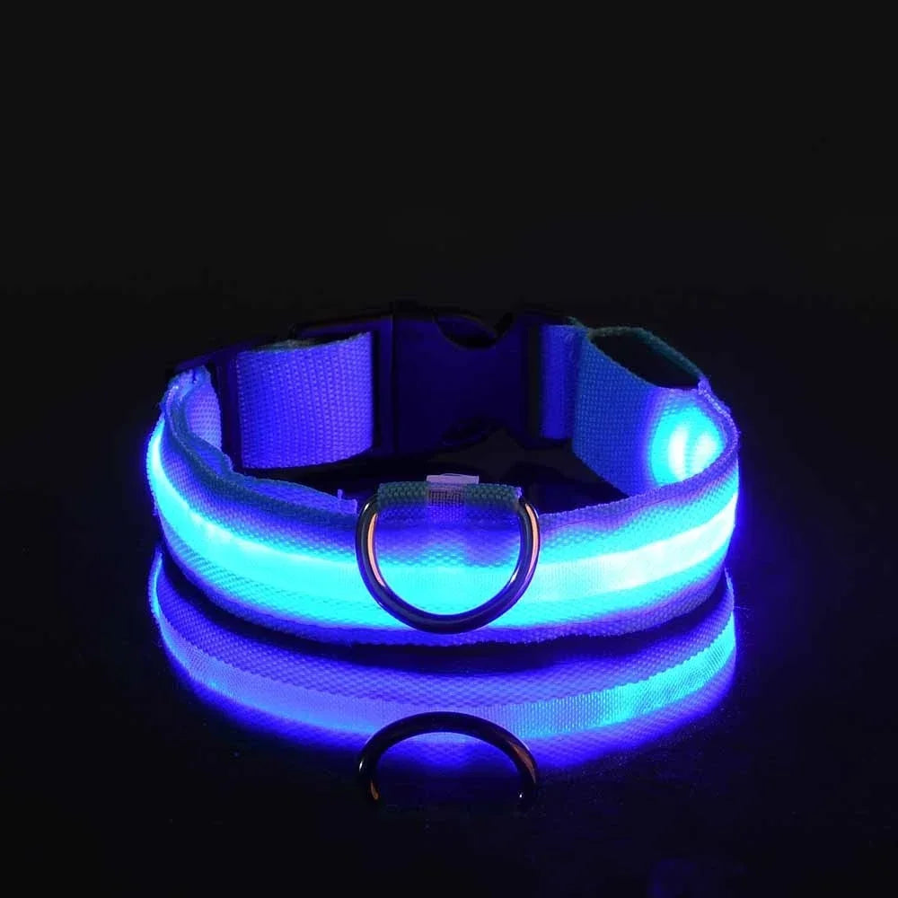Guangdong Nylon LED Dog Collar With Night Safety Flashing Glow