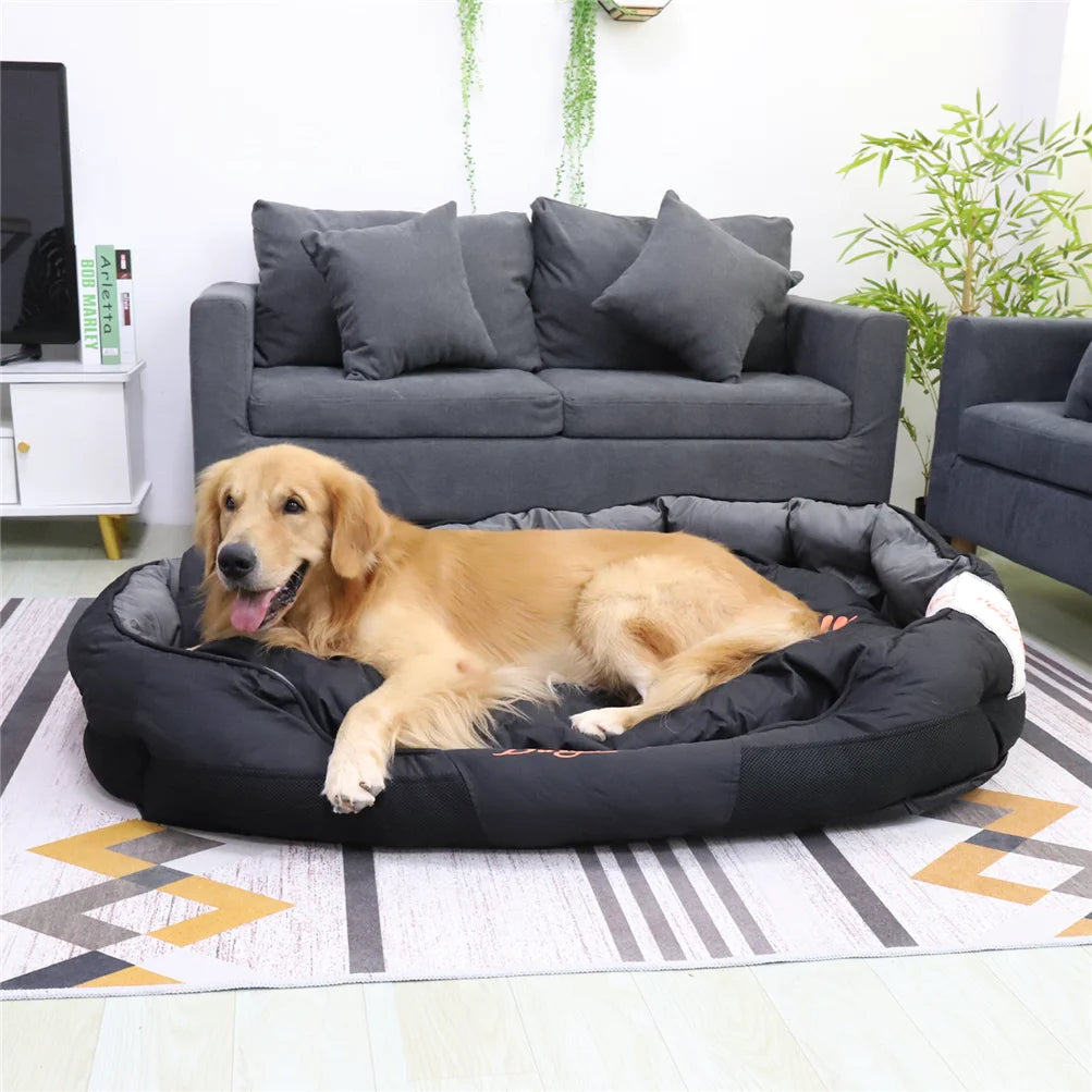 BINGOPAW All Season Dog Bed Calming Sofa Kennel Cushion