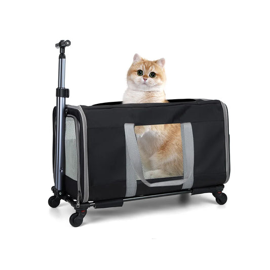 Cat Transport Stroller With Wheels For Two Cats Travel