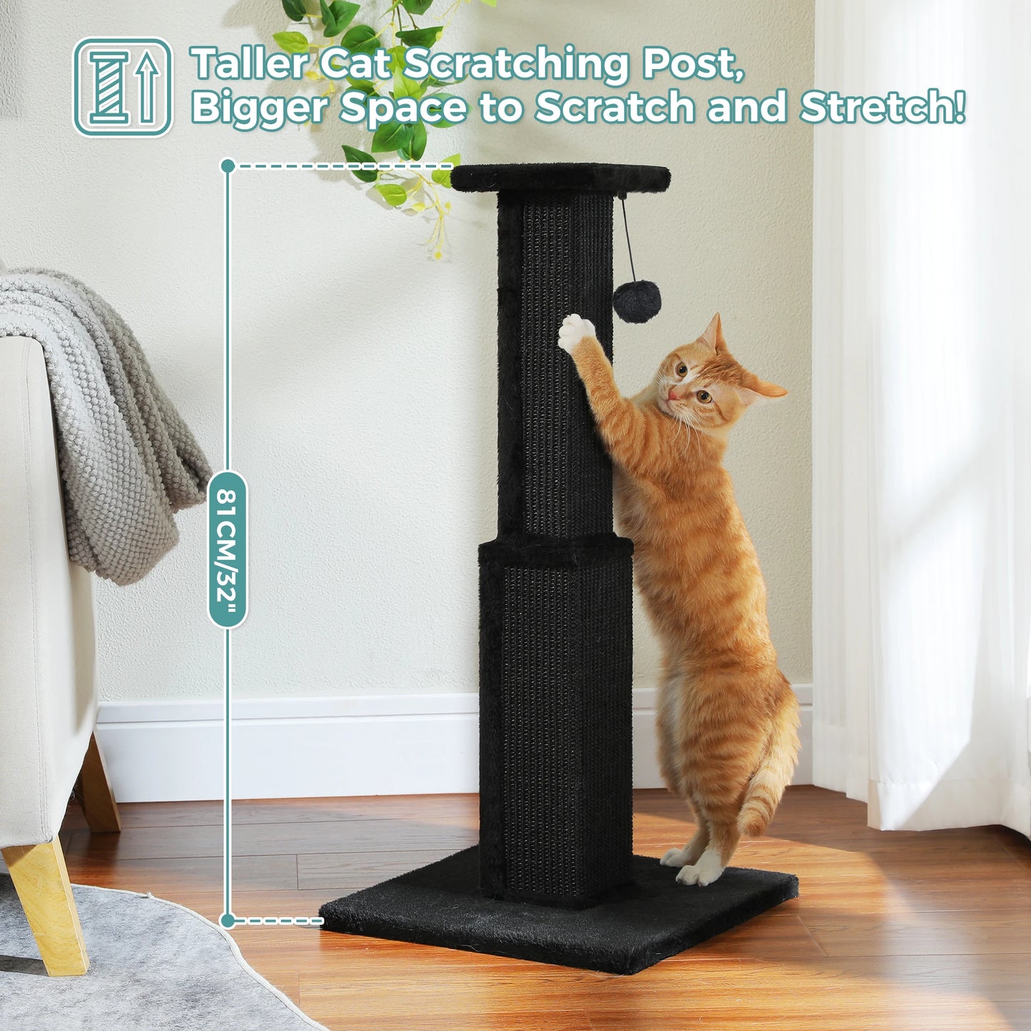 PAWZ Road Cat Scratching Post Indoor Toy For Cats Play