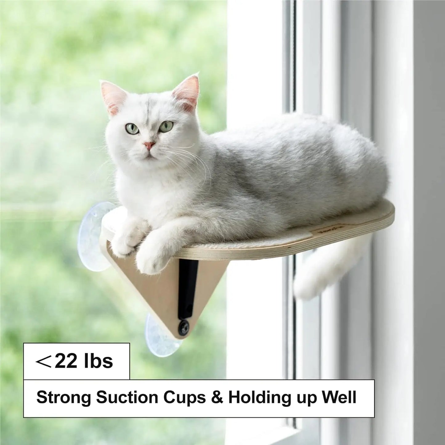 MEWOOFUNCN Cat Window Perch With Climbing Steps And Scratching Post