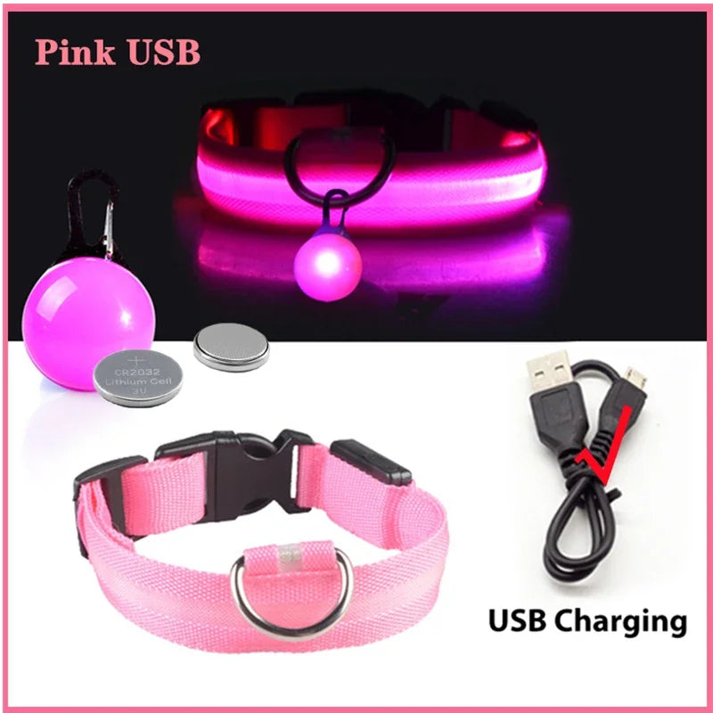 Usb Charging Glowing Dog Collar With Pendant Night Safety
