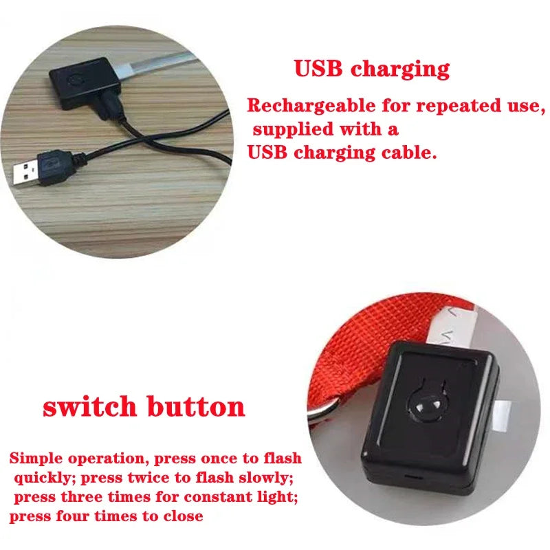 Usb Charging Glowing Dog Collar With Pendant Night Safety