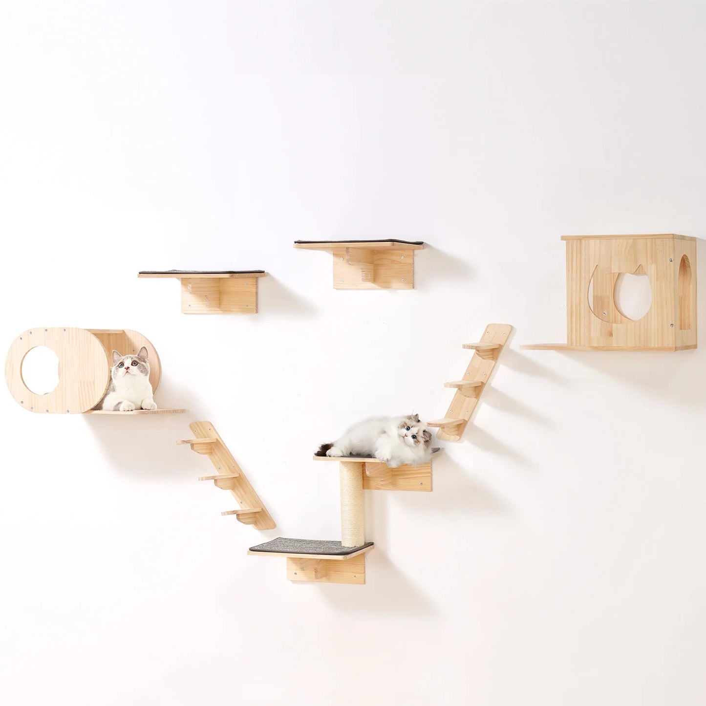 SucceBuy Wall Mounted Cat Shelves And Perches For Climbing