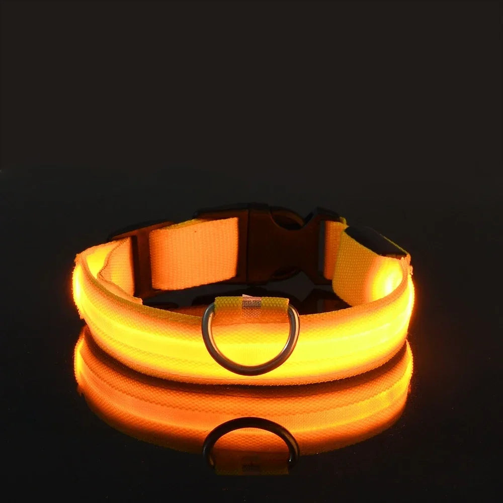 Guangdong Nylon LED Dog Collar With Night Safety Flashing Glow