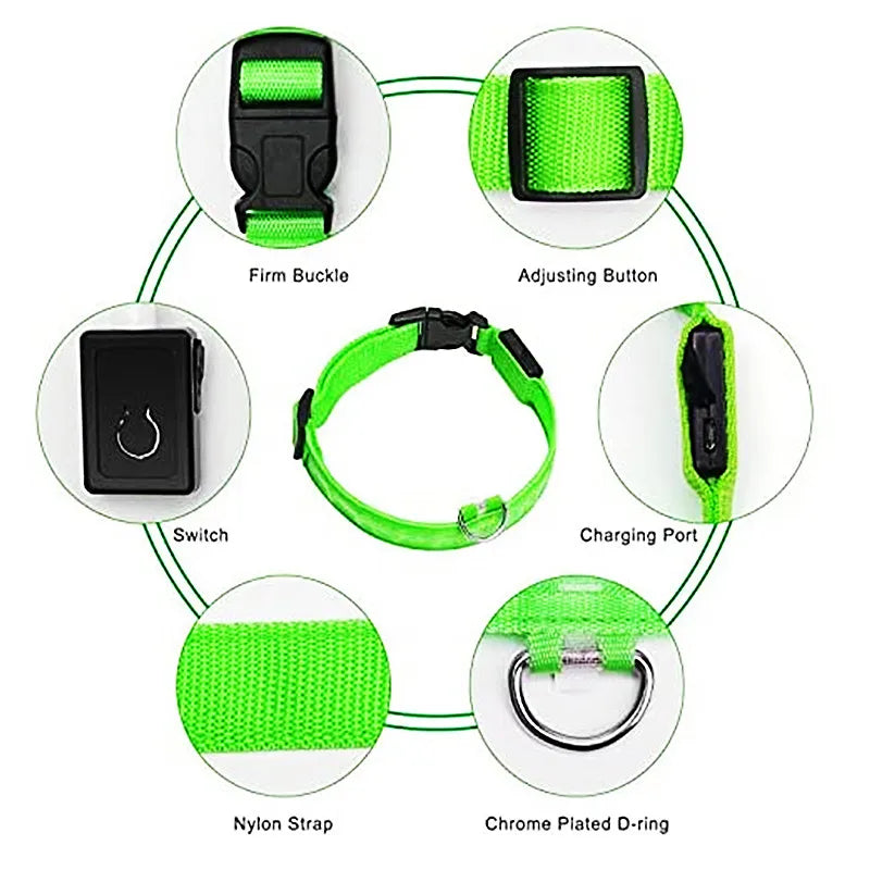 Usb Charging Glowing Dog Collar With Pendant Night Safety