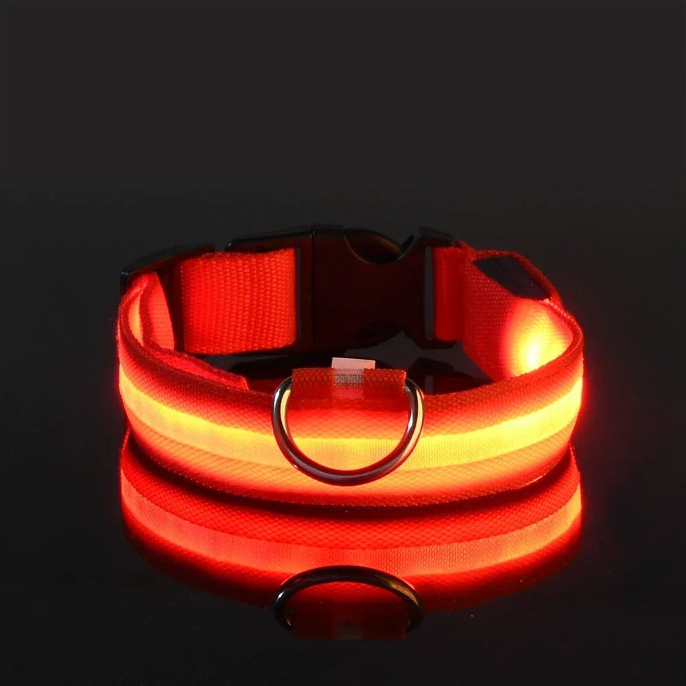 Guangdong Nylon LED Dog Collar With Night Safety Flashing Glow