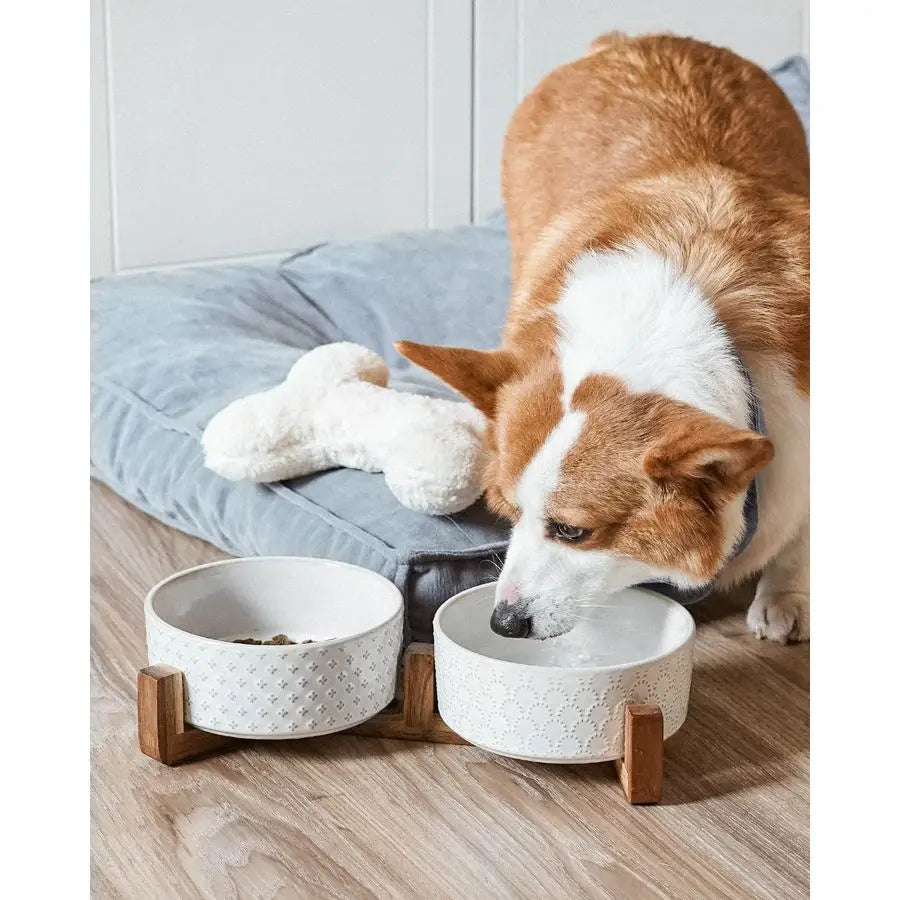 Ceramic Dog Bowls With Acacia Wood Stand Non Slip Elevated