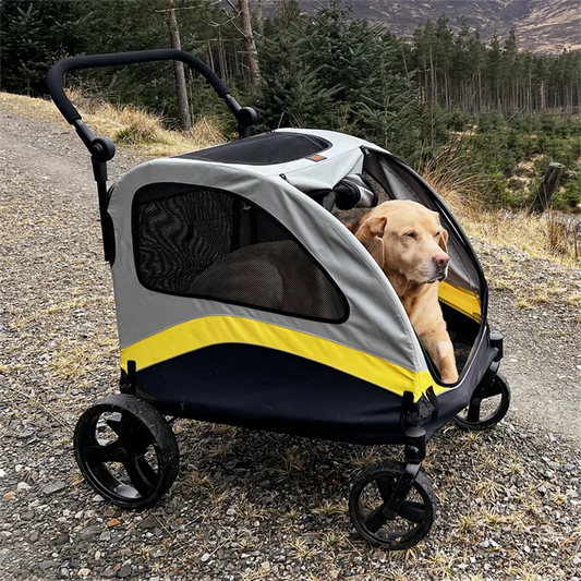 Breed Dog Stroller Pram 4 Wheel Foldable Travel Jogger