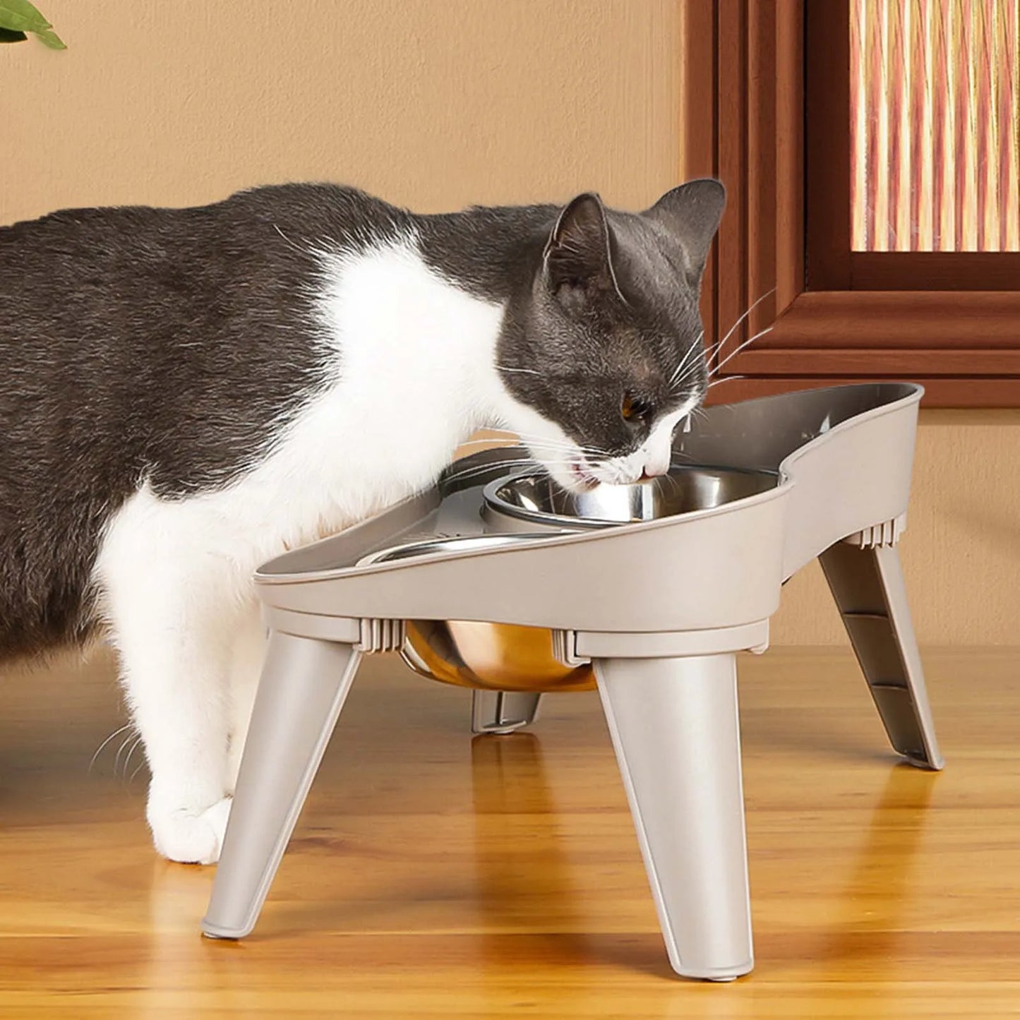Elevated Stainless Steel Dog Feeder Bowl No Spill No Slip