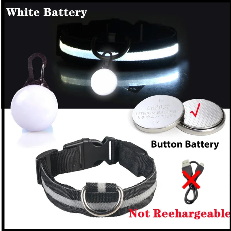 Usb Charging Glowing Dog Collar With Pendant Night Safety