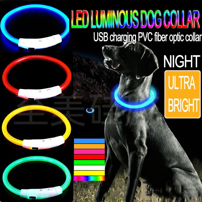 CN Guangdong Luminous Dog Collar LED Light Night Safety GXQ02