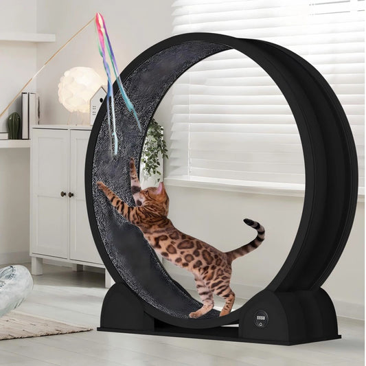 HiMISSCN Cat Exercise Wheel Indoor Running Treadmill With Pedometer