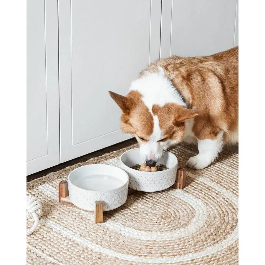 Ceramic Dog Bowls With Acacia Wood Stand Non Slip Elevated