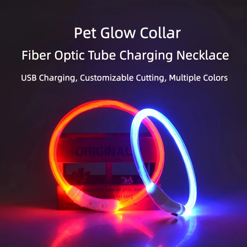CN Guangdong LED Dog Collar USB Rechargeable 3-Mode Safety Light