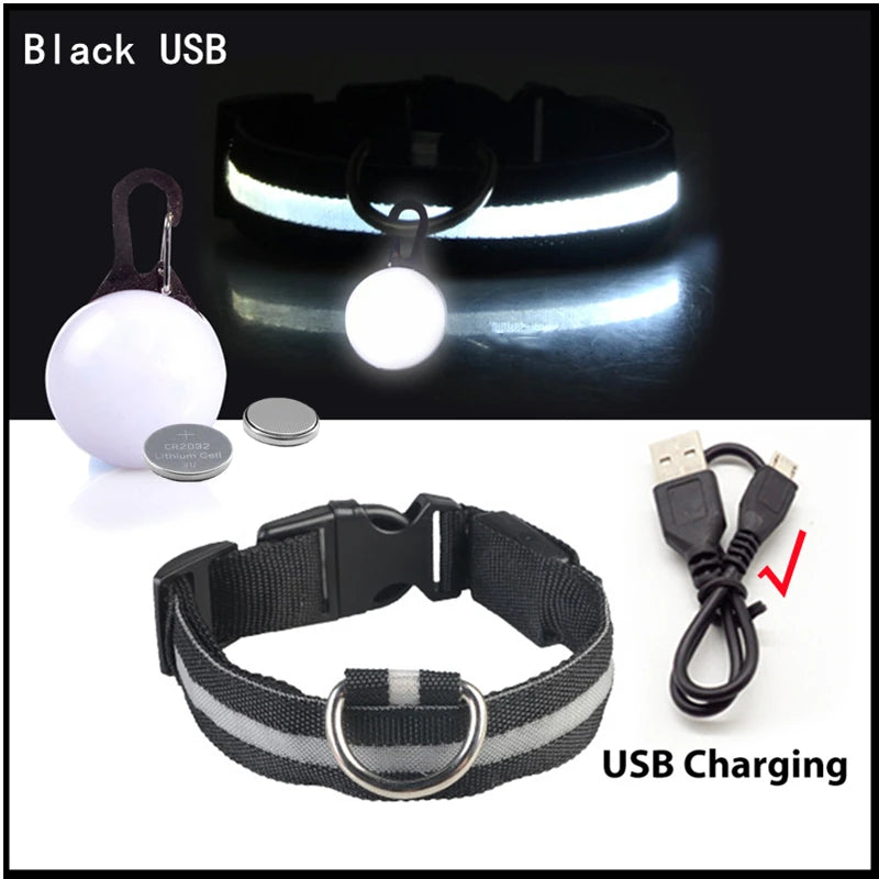 Usb Charging Glowing Dog Collar With Pendant Night Safety