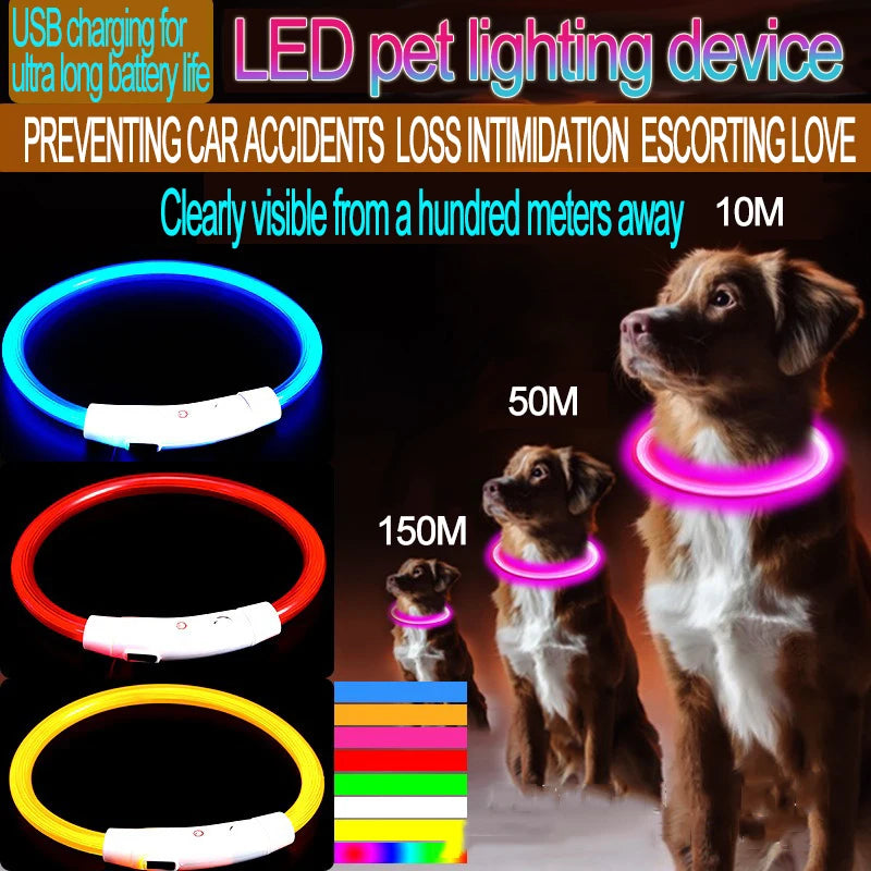 CN Guangdong Luminous Dog Collar LED Light Night Safety GXQ02