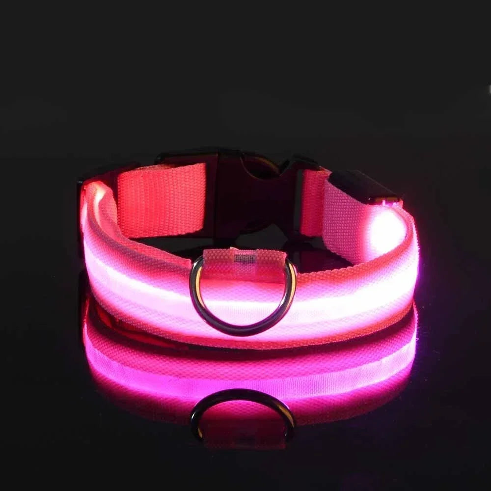Guangdong Nylon LED Dog Collar With Night Safety Flashing Glow