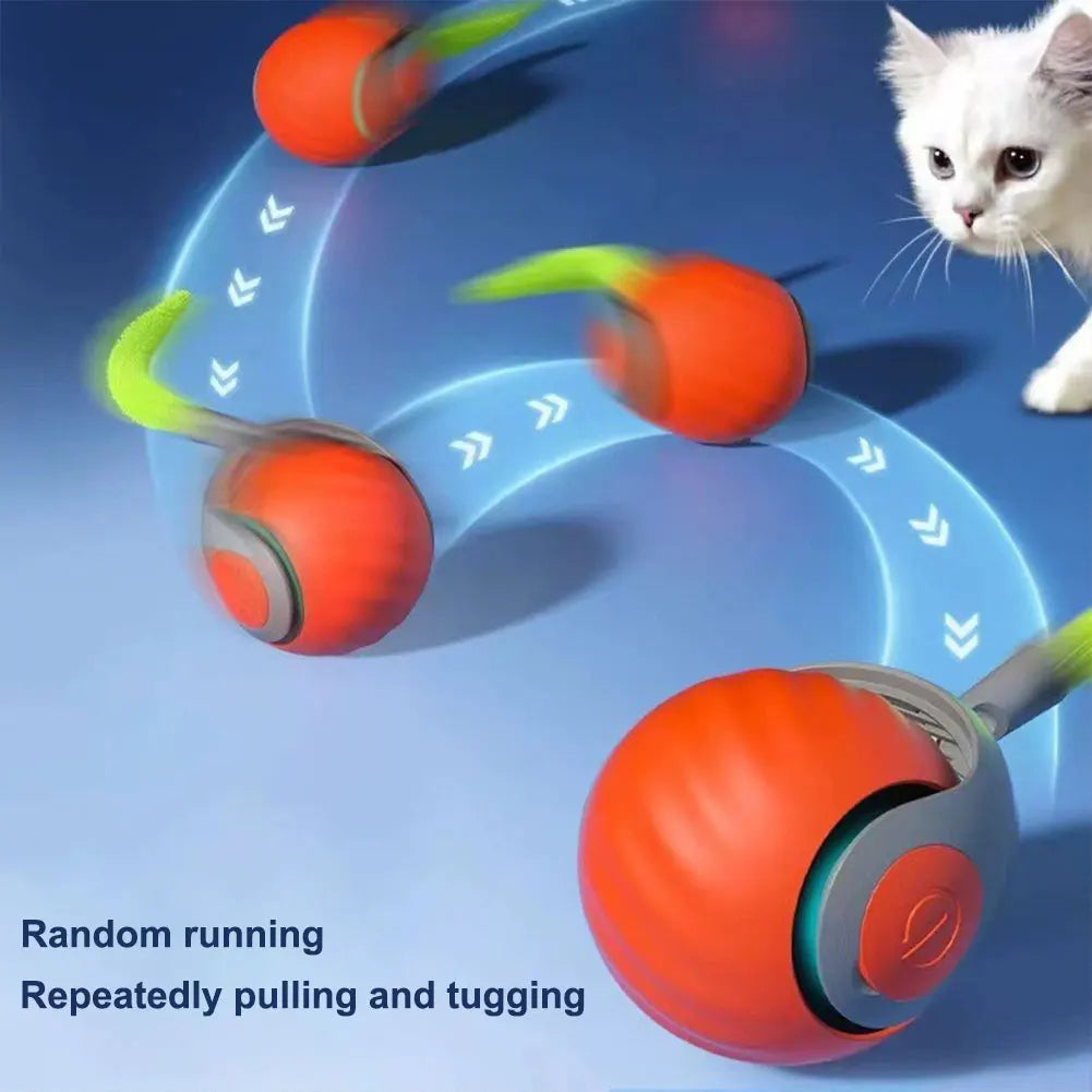 Automatic Moving Cat Toy Ball Interactive Rechargeable Pet Toy