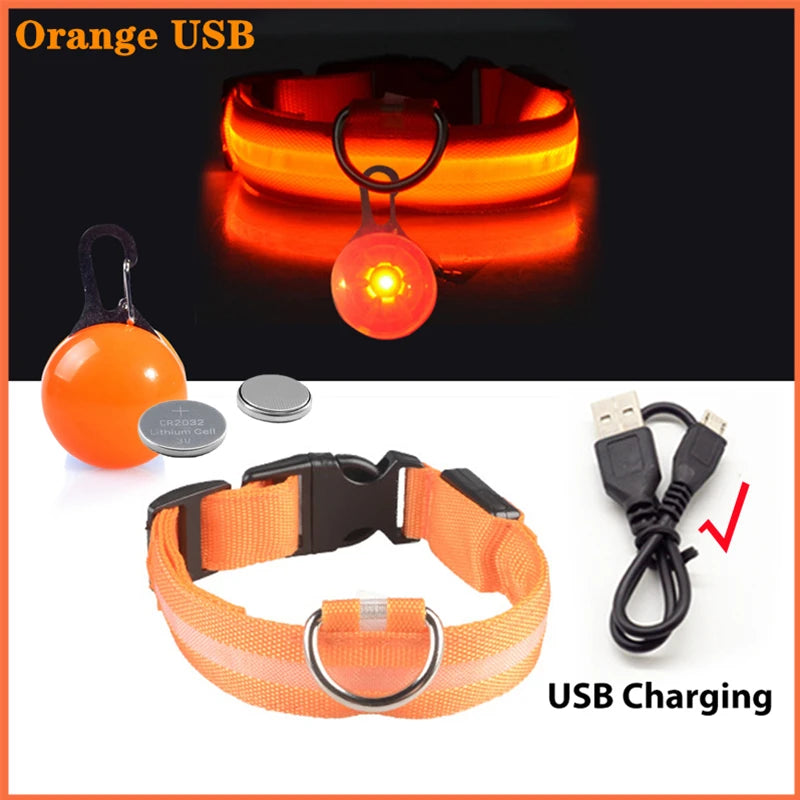 Usb Charging Glowing Dog Collar With Pendant Night Safety
