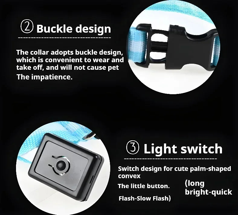 Guangdong Nylon LED Dog Collar With Night Safety Flashing Glow
