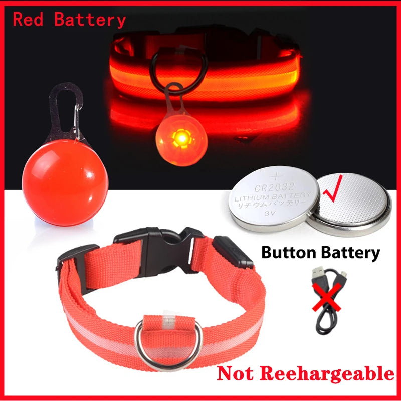 Usb Charging Glowing Dog Collar With Pendant Night Safety