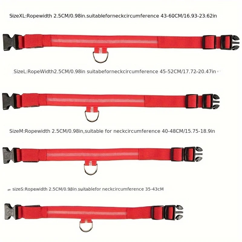 CN Guangdong USB Rechargeable Glow Dog Collar for Night Safety