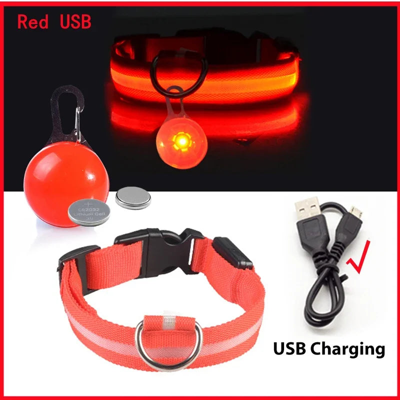 Usb Charging Glowing Dog Collar With Pendant Night Safety