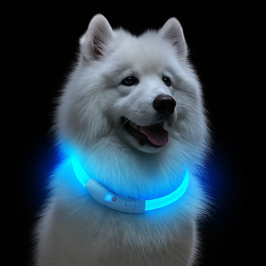 CN Guangdong LED Dog Collar USB Rechargeable 3-Mode Safety Light