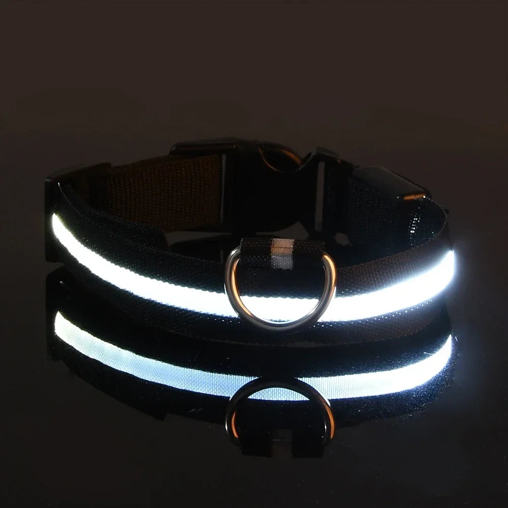 Guangdong Nylon LED Dog Collar With Night Safety Flashing Glow