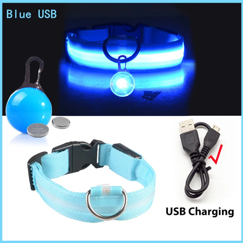 Usb Charging Glowing Dog Collar With Pendant Night Safety