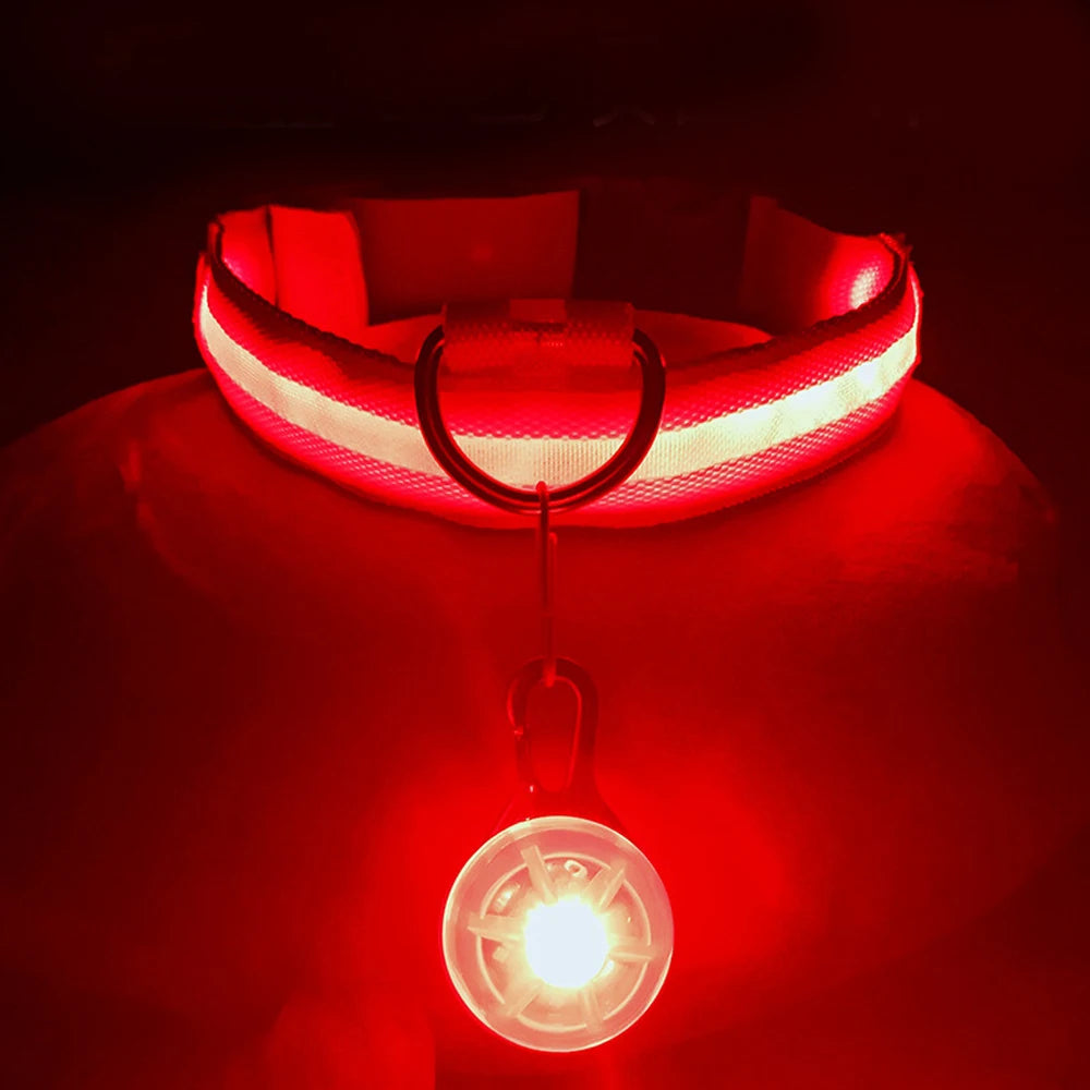 Usb Charging Glowing Dog Collar With Pendant Night Safety