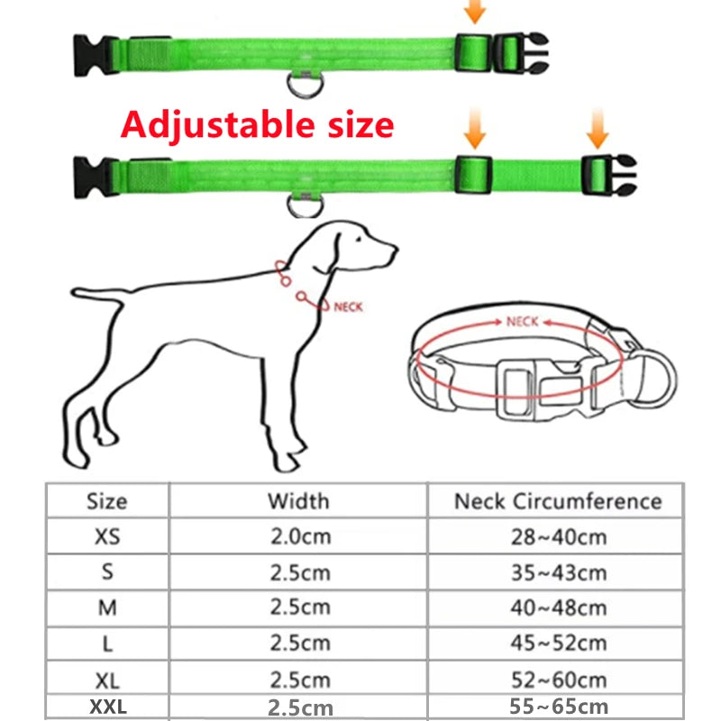 Usb Charging Glowing Dog Collar With Pendant Night Safety