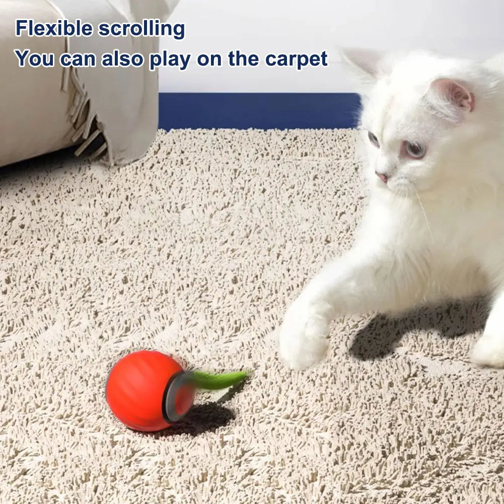 Automatic Moving Cat Toy Ball Interactive Rechargeable Pet Toy