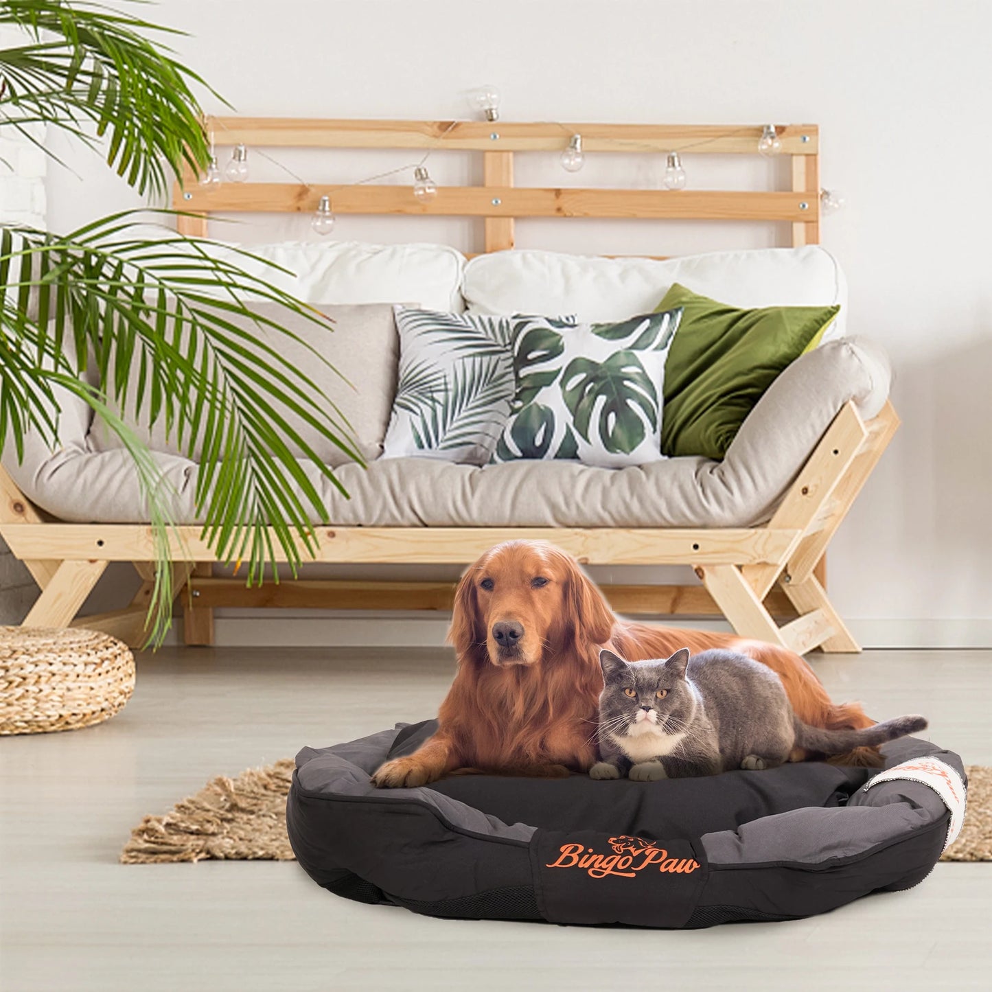 BINGOPAW All Season Dog Bed Calming Sofa Kennel Cushion