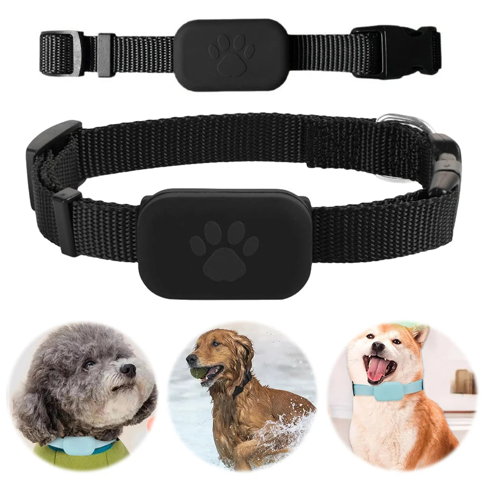 MOJOYCE Pet GPS Tracker With Adjustable Collar For Cats