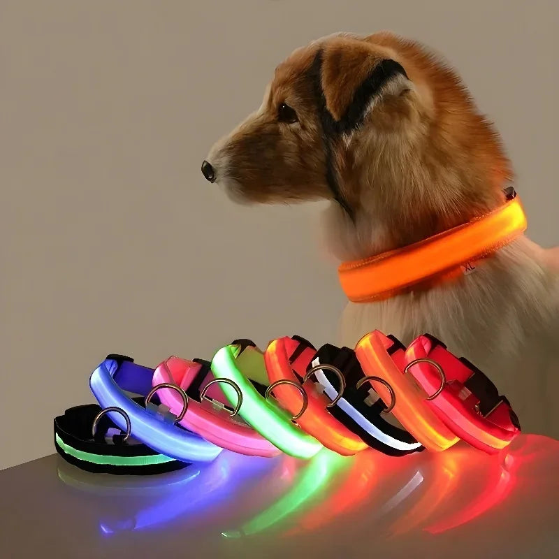 Guangdong Nylon LED Dog Collar With Night Safety Flashing Glow
