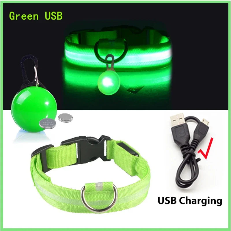 Usb Charging Glowing Dog Collar With Pendant Night Safety