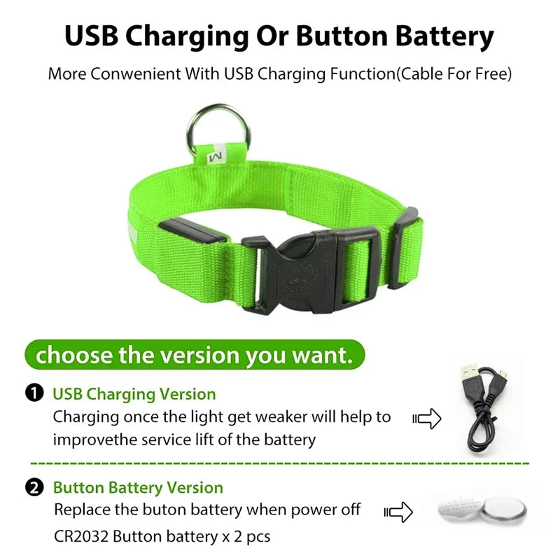 Usb Charging Glowing Dog Collar With Pendant Night Safety