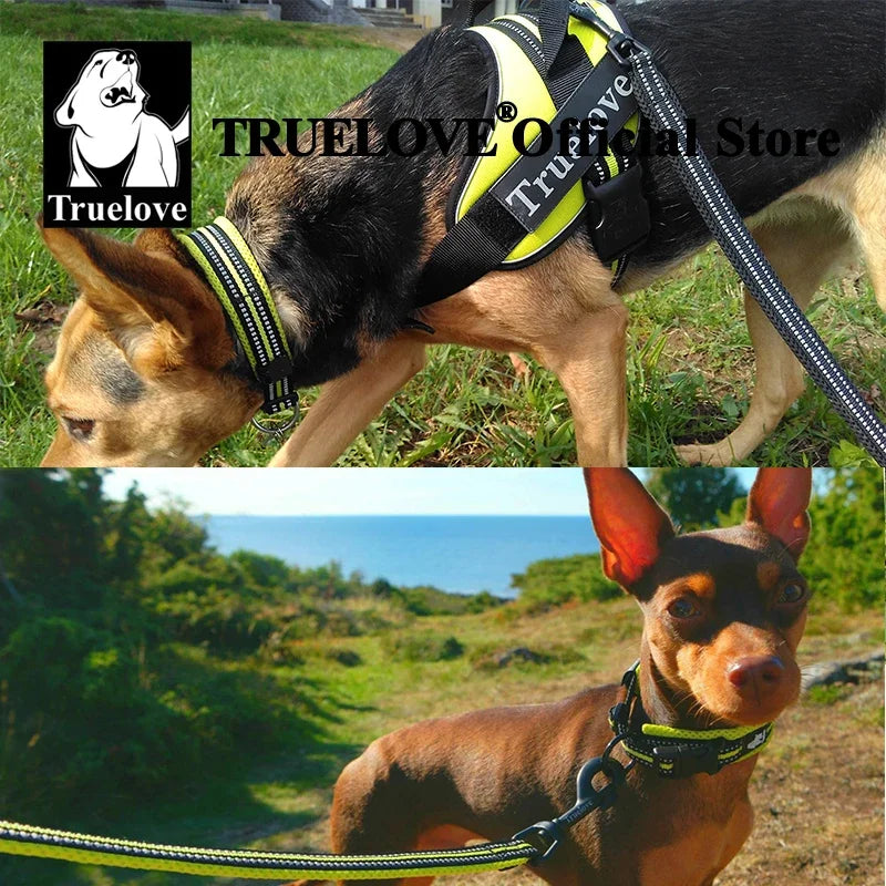 TRUELOVECN Truelove Nylon Adjustable Padded Reflective Heavy Duty Dog Collar
