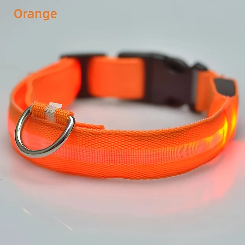 CN Guangdong USB Rechargeable Glow Dog Collar for Night Safety