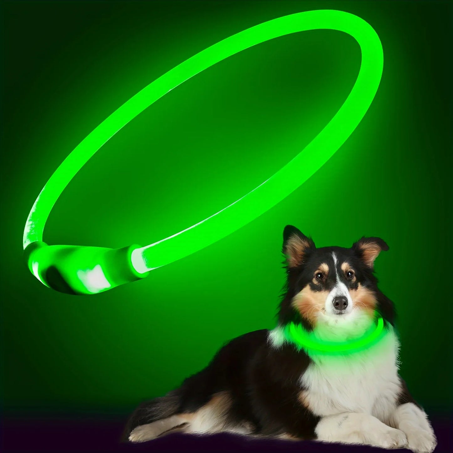 LED Light Dog Collar Reflective USB Rechargeable Pet Safety