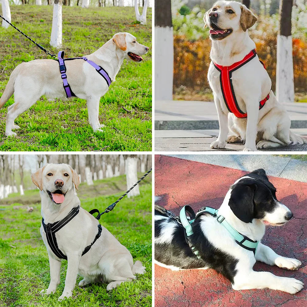 CN Zhejiang Reflective Dog Harness With Handle Adjustable Vest
