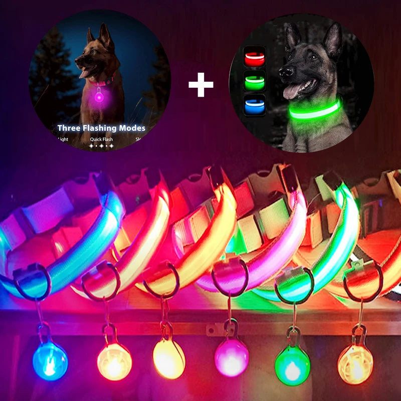Usb Charging Glowing Dog Collar With Pendant Night Safety